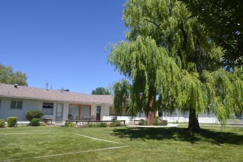a house with a large tree in the yard at Retro Inn at Mesa Verde in Cortez