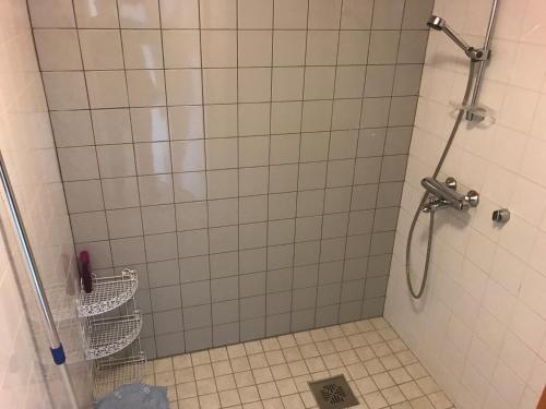 a shower in a bathroom with a tiled floor at Ranua Lapland Apartment in Ranua