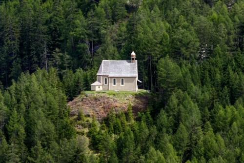a house on a hill in the middle of a forest at Ferienraum Pfunds in Pfunds