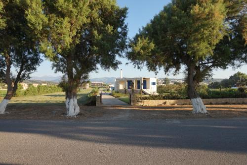 two trees on the side of a road at Oasea in Tavronitis
