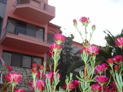 Κήπος έξω από το Apartments Balaska 