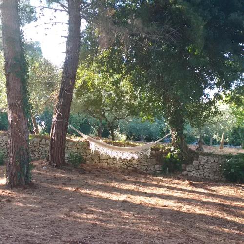 Jardín al aire libre en Pignarè