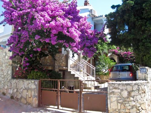 Gallery image of Apartment Gale in Maslinica