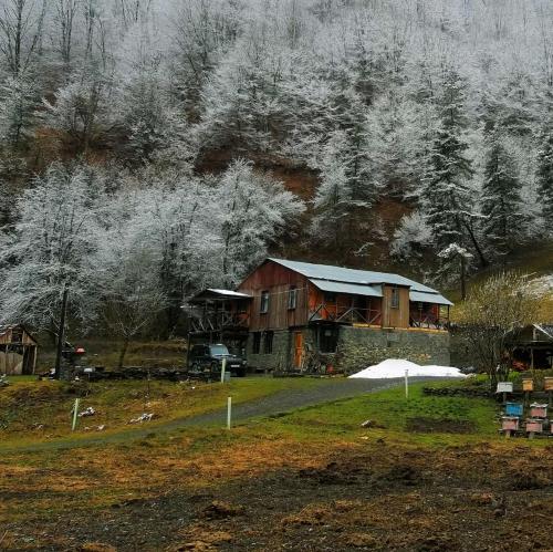 Imagen de la galería de Korsha Guesthouse, en Roshka