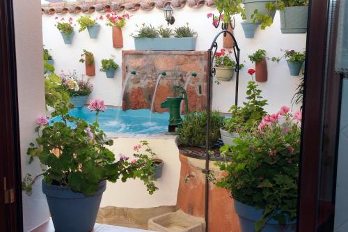 a group of potted plants on a wall at Casa Del Abuelo Martín in Villaviciosa de Córdoba