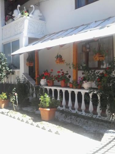 a balcony with potted plants on a building at Pensiunea Rozmarin in Sîngeorz-Băi