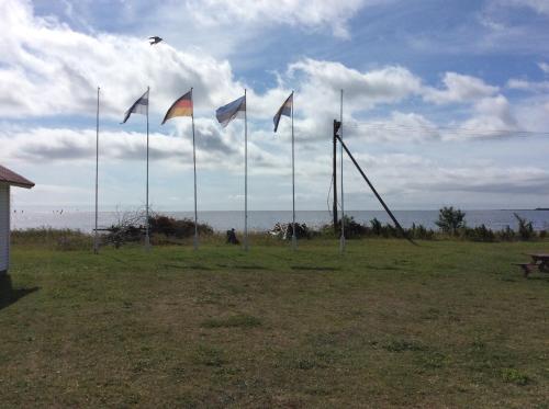 a group of flags on poles in a field at Seaside cottage in Kõiguste