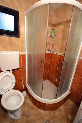 a bathroom with a shower with a toilet and a window at Apartments Dionis in Kotor