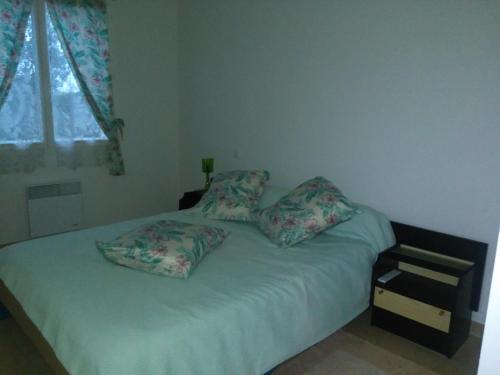 ein Schlafzimmer mit einem Bett mit zwei Kissen darauf in der Unterkunft Maison à la campagne in Lavergne