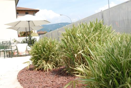 a patio with an umbrella and some plants at Albergo Al Sole in Mezzolombardo