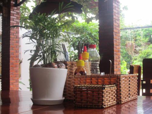 a plant in a basket on a table with a plant at Gia Thanh Phu Quoc Guest House in Phu Quoc