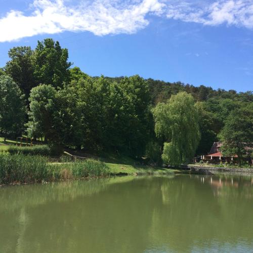 a river with trees and a house in the background at Hotel Síkfőkút in Noszvaj