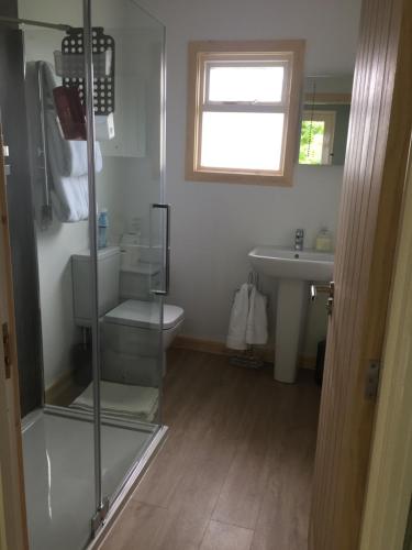a bathroom with a shower and a toilet and a sink at Loch Broom Cabins Seaviews& Petfriendly in Leckmelm