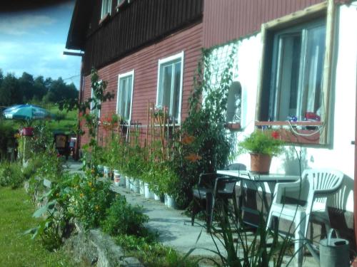 a patio with a table and chairs and plants at U Tří Koček in Jablonné v Podještědí