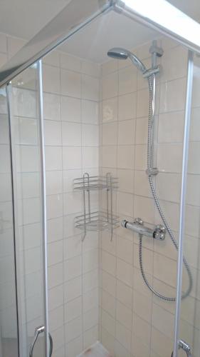 y baño con ducha y puerta de cristal. en Homestay Stavenisse, en Stavenisse