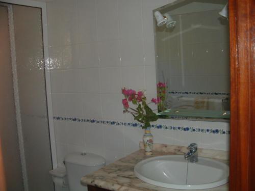 une salle de bain avec un lavabo et un vase de fleurs dans l'établissement Casa Los Viñedos B, à Fuencaliente de la Palma