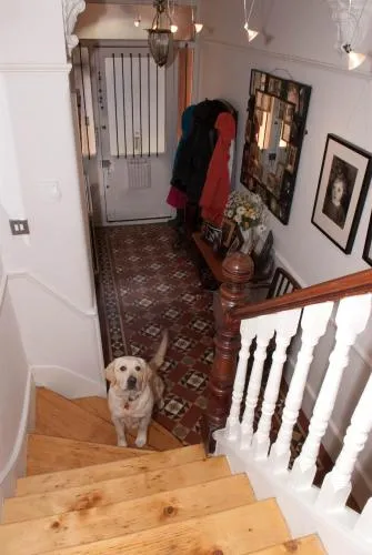 Muswell Hill B&B photo 15