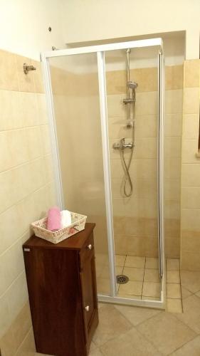 a shower with a glass door in a bathroom at Agriturismo Le Scerze in Borgagne