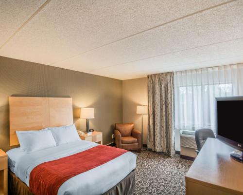 Gallery image of Comfort Inn - NYS Fairgrounds in Syracuse