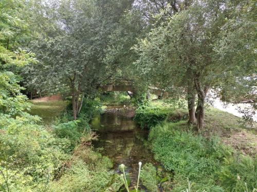 a bridge over a river with trees and a creek at A casa dos Parladoiros in Mos