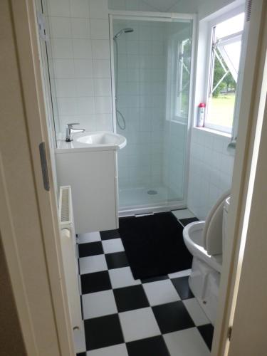 a bathroom with a sink and a shower and a toilet at Vakantieverblijf Springendalsebeek in Hezingen