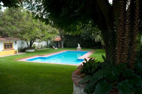 a swimming pool in a yard with a tree at Posada San Francisco in Tequisquiapan