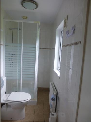 een witte badkamer met een toilet en een douche bij Vakantieverblijf Springendalsebeek in Hezingen