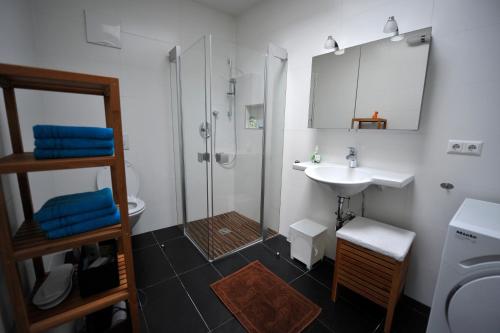 Koupelna v ubytování Apartments Alter Platz