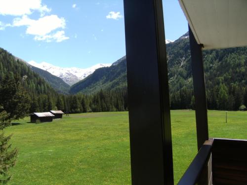 a view from a house window of a field with mountains at Albergo Thurwieser in Santa Caterina Valfurva