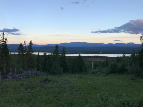 a view of a field with trees and a lake at Ottsjö-Åre Lodge in Ottsjö