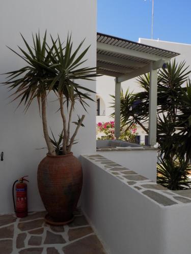 Gallery image of Studios Strouvalis in Agiassos