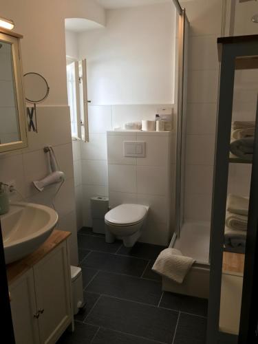 a bathroom with a toilet and a sink at New flat in old town+garage in Steyr