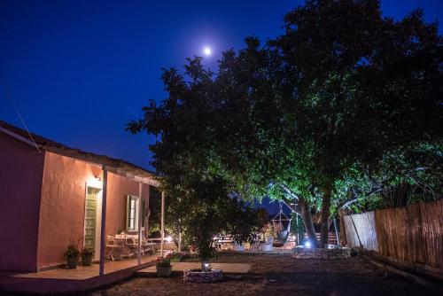 a house with a tree and a fence at night at Ailanto in Lygia