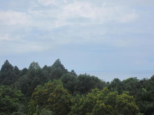 a group of trees with the sky in the background at Gia Thanh Phu Quoc Guest House in Phu Quoc