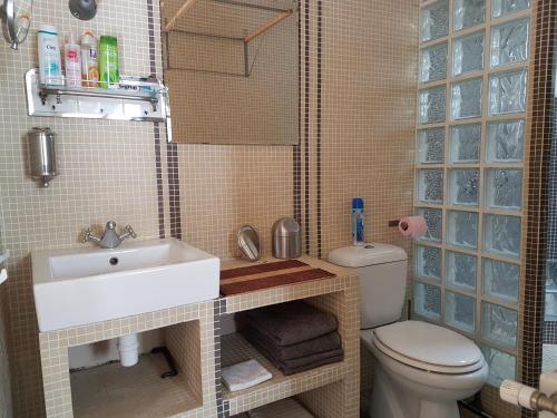 een kleine badkamer met een wastafel en een toilet bij lapetitemaisondeparis in Parijs