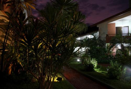 a palm tree in front of a building at night at Pousada Larimor in Boicucanga