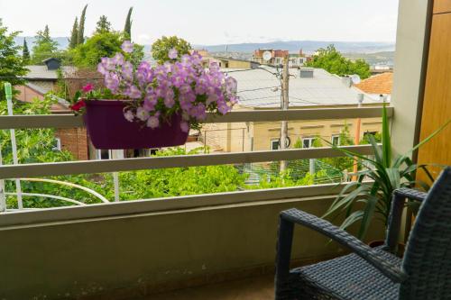 4BD Appartaments with cozy garden