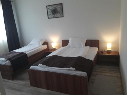 - 2 lits jumeaux dans une chambre avec 2 lampes dans l'établissement Pensiunea Casa Ungur, à Cetea