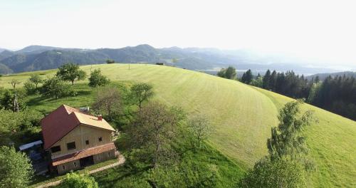 an aerial view of a house on a green hill at Razborca in Mislinja