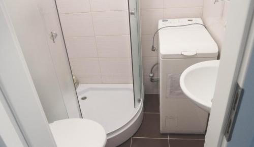 een kleine badkamer met een toilet en een wastafel bij Blue city apartment in Klaipėda