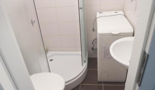 a small bathroom with a toilet and a sink at Blue city apartment in Klaipėda