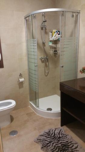 カディスにあるApartamento San Felipe Neriのバスルーム(シャワー、トイレ、洗面台付)