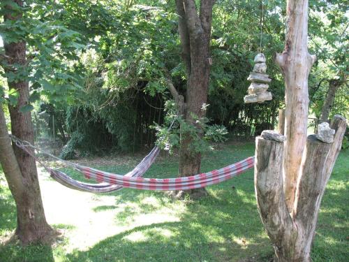 a hammock tied to a tree in a garden at BioAgriturismo Vegan Campo di Cielo in Cesiomaggiore