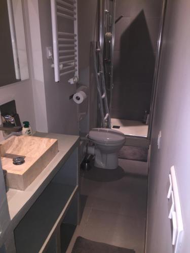 une salle de bain avec toilettes, lavabo et douche dans l'établissement Le Mourillon Appartement -Terrasse, à Toulon