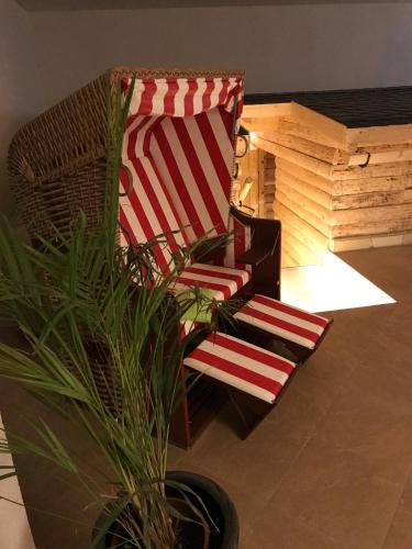 a chair and a potted plant in a room at Alpina Lodge Hotel Oberwiesenthal in Kurort Oberwiesenthal