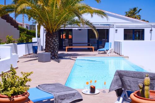 une piscine avec un palmier à côté d'une maison dans l'établissement Manuki Mas, à Vall-llobrega