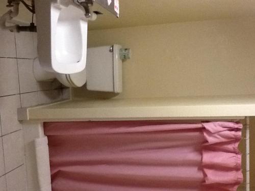a bathroom with a toilet and a pink rug at Snowy River Inn in Show Low