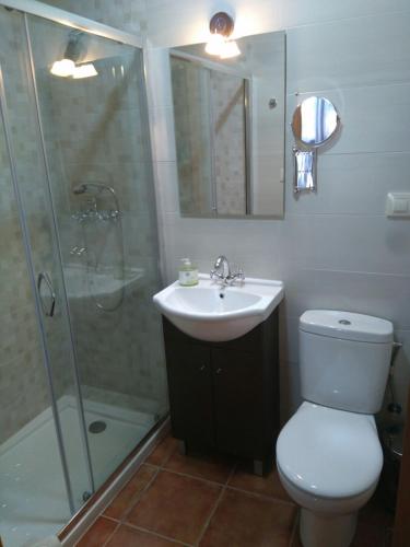 a bathroom with a toilet and a sink and a shower at La Esquina de Animas in La Alberca