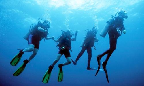 eine Gruppe von Menschen, die im Wasser schwimmen in der Unterkunft Casa Nea in El Rosario