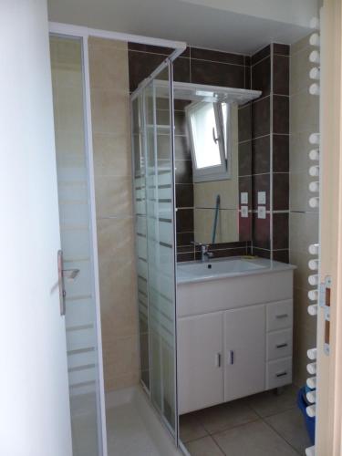 a bathroom with a sink and a mirror at Appartement L'Orel in Embrun